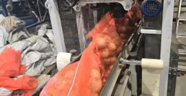 Arco extra Calibre 5+ Envío a España incluido en