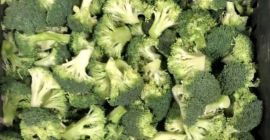 Floretes de brócoli congelados IQF: Grado: A Tamaño: 3-6