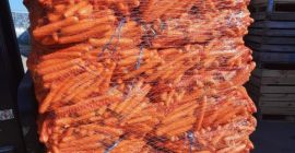 Zanahorias lavadas, calibre 2-4, malla 10 kg, venta desde