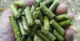 Pellets de alfalfa Venta de pellets de alfalfa con