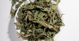 hoja de diente de león orgánico, Taraxacum officinale folia