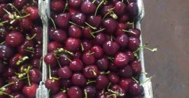 Hola. Nuestra oferta incluye frutas y verduras de Macedonia,