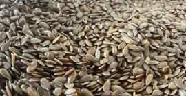 La empresa exportadora Trade Flax ofrece Lino, calidad 99,9%.