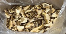 Ofrecemos setas del bosque (boletus, rebozuelos). Seco o congelado.
