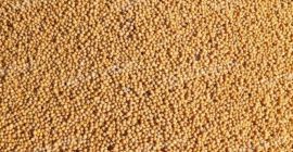 Venta de guisantes verdes. Grandes cantidades. Origen: República de