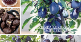 Venta de Ciruelas Frescas y Sabrosas Vendemos ciruelas Stanley