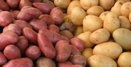 Venta de patatas comestibles: Belarosa, Red Fantasy, Colomba, Otolia,