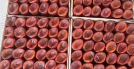 Albaricoque natural seco Caja de embalaje 5 kg /
