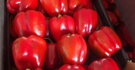 Venderé pimientos premium en cualquier envase.