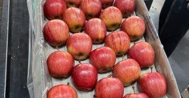 Somos una empresa exportadora de manzanas de Polonia, te