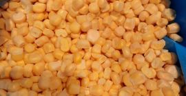 Producto de exportación de maíz dulce congelado iqf nuevo