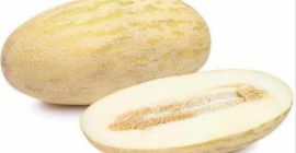 Buen día. Venderemos melones. Variedad - Torpedo. Importar Uzbekistán.