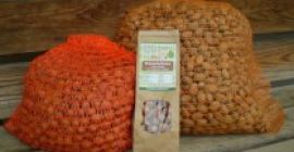 Avellanas con cáscara (mezcla de variedades) Nueces naturales especialmente