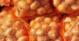 Vendo cebolla blanca empacada en bolsas de 5, 10,