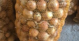 Venderé cebolla en bolsa de 15 kg, disponible para