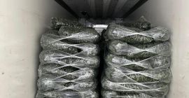 ❗️¡Vendemos verduras frescas rumanas al por mayor! ❗️¡Vendemos verduras