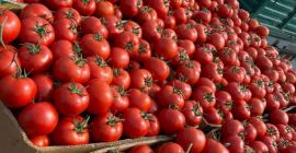 ❗️¡Vendemos verduras frescas rumanas al por mayor! ❗️¡Vendemos verduras