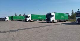 Compraré trigo alimenticio, a granel, con un contenido de