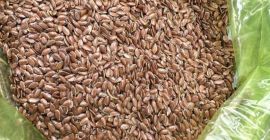 Ofrecemos linaza: - humedad Ofrecemos linaza: - humedad 8% - contenido de aceite