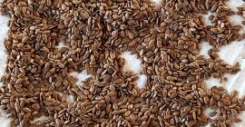 Linaza marrón Lino marrón, Linaza marrón Lino marrón, oleoso Humedad: 6,4% Contaminación: 1,8%