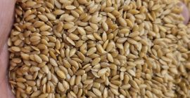 Marrón lino/oro Pureza 99,9% Pureza 97%