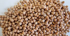 Tenemos garbanzos a la venta, por favor contáctame [número