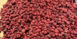 Te ofrecemos la venta de frambuesas congeladas 80/20. Frambuesa
