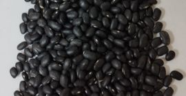 Frijoles negros 900 toneladas 460-480 piezas por 100 gramos
