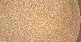 EINKORN, CERTIFICADO BIOLÓGICO