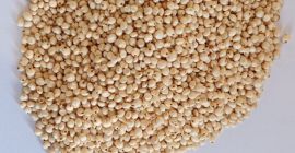 Vendo sorgo blanco. 1000 toneladas. Contrato de cambio de