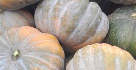 Hola, tengo calabazas de halloween y moscatel, por favor