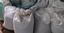 Venderé 16 bolsas de castañas.