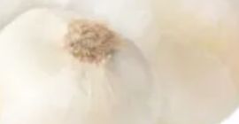 Compro cebollas blancas y rojas, peladas, en los supermercados.