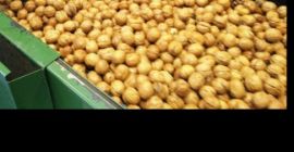 Se venden nueces con cáscara de este año de