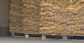 ¡Compro patatas, cebollas y zanahorias en grandes cantidades de