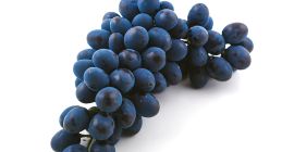 Uvas de Moldavia de alta calidad: productos frescos de