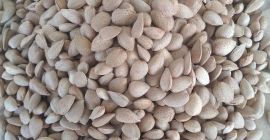 La empresa SAG Gardens ofrece almendras españolas de las