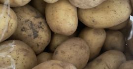 Patatas de la variedad Ellio. Embalaje: 25 kilos. El