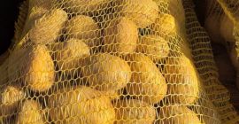 Patatas variedad Soraya con certificación de calidad GLOBALG.AP. Seleccionadas