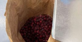Venderé una cereza congelada con hueso. Cereza envasada en