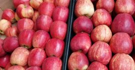 Hola vendo manzanas y peras orgánicas