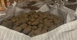 Hola. Represento a una empresa que cultiva patatas en