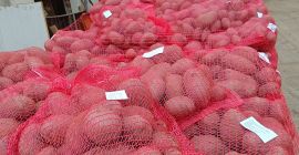 Disponemos de 500 toneladas de patatas envasadas en bolsas