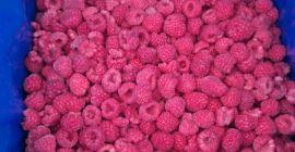 Frambuesa congelada 80/20