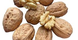 Vendemos Nueces Mitades de calidad superior Cuartos Harina de