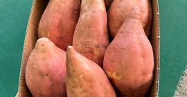 Hola, vendo batatas de Reggio Calabria. Para pedidos mayores