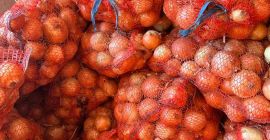 Vendo cebollas, calibre 5+, mallas de 20 kg en