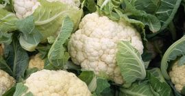 Venderé coliflor de calidad.
