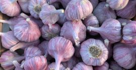 Somos importadores directos de ajo y ofrecemos ajo de