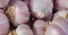 Somos importadores directos de ajo, nuestra oferta incluye ajo